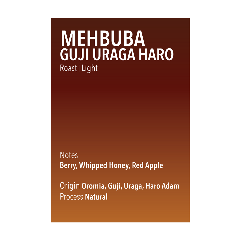 Mehbuba Guji Uraga Haro Vice City Bean