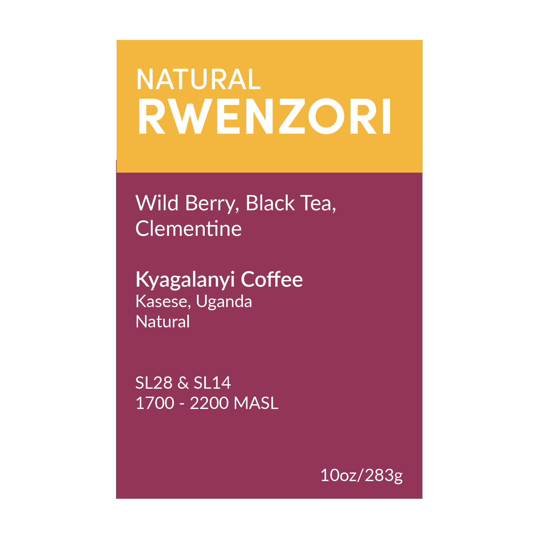 Rwenzori Vice City Bean