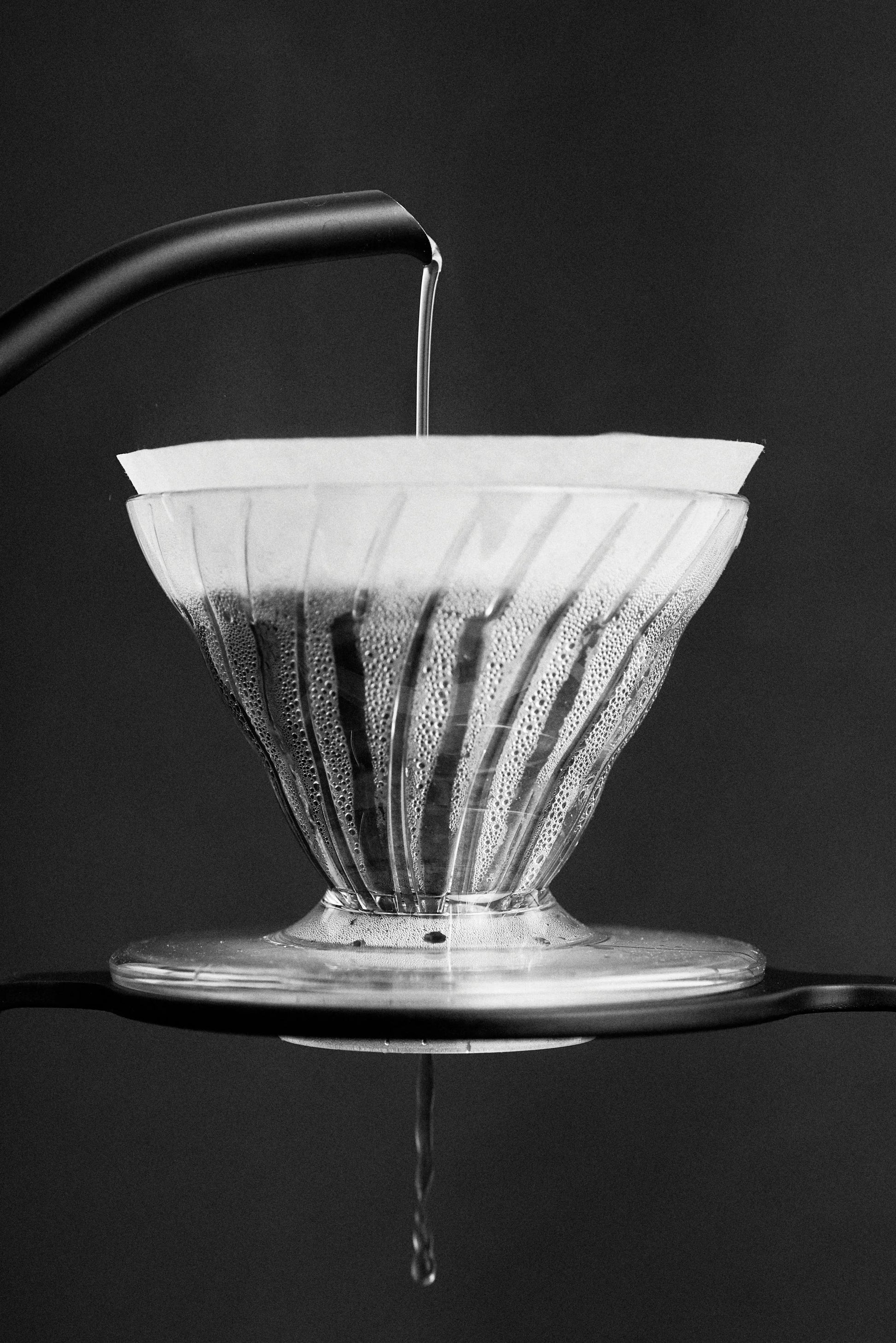 Sibarist FAST Filters Cone 02