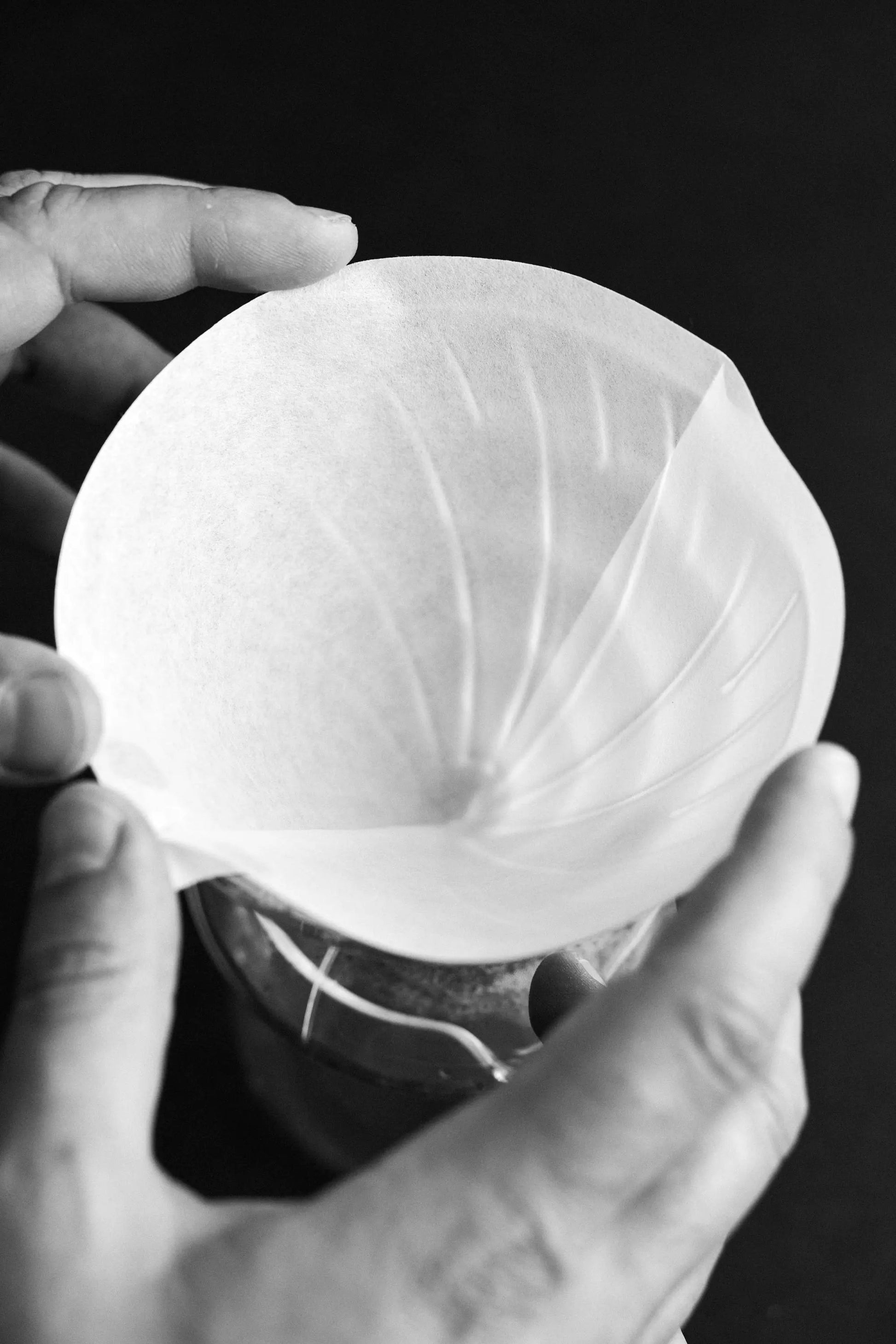 Sibarist FAST Filters Cone 02