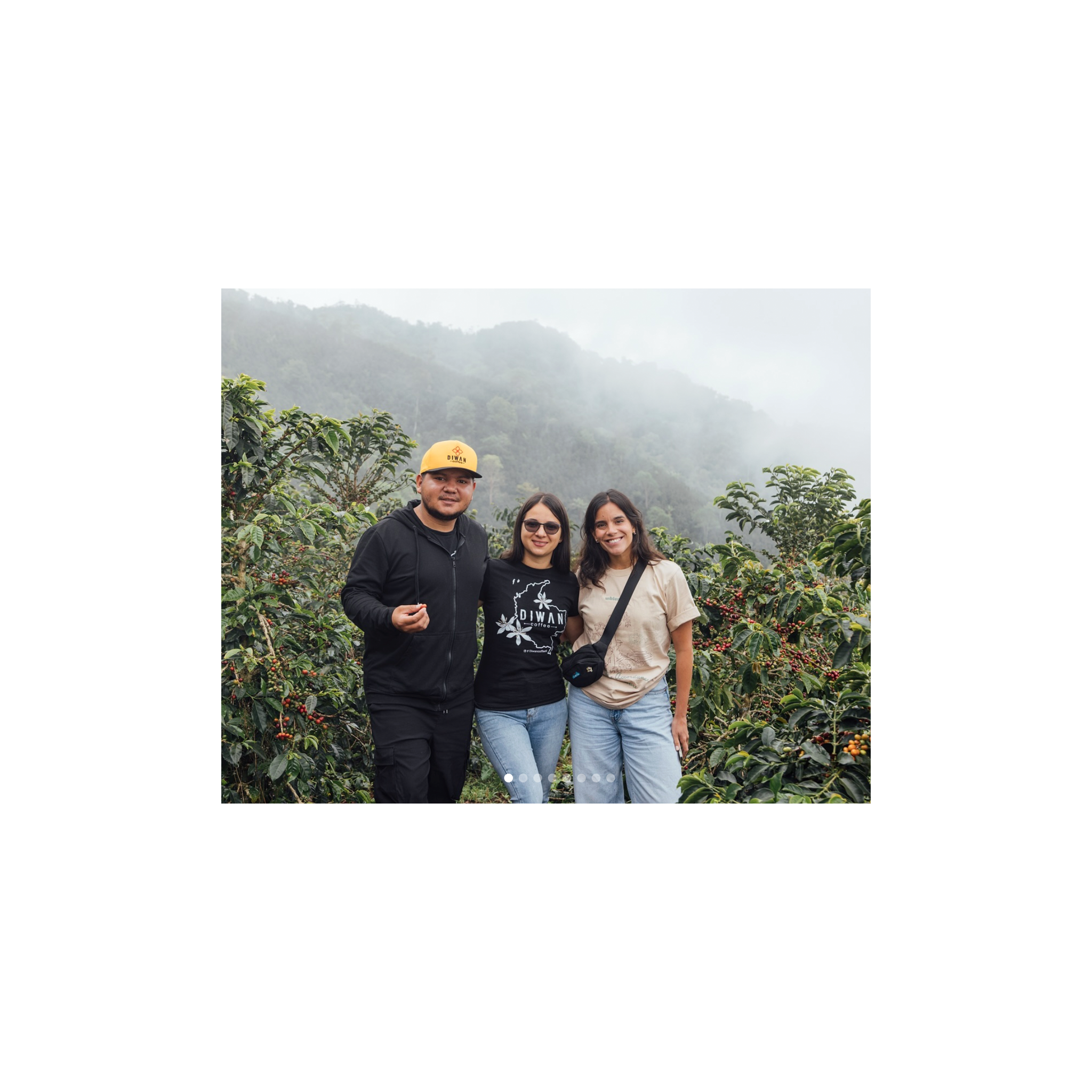 Yessica Parra Pink Bourbon Washed Vice City Bean