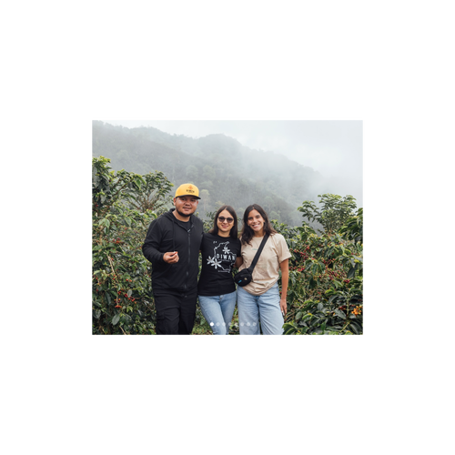 Yessica Parra Pink Bourbon Washed Vice City Bean